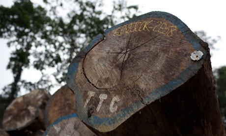 [Liberia-logging-tagged-st-006[5].jpg]