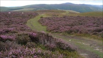 The view towards Moel Arthur and Moel Famau from Penycloddiau which is the location of one of the fires.
