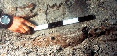 [GreeceEviaStyraIslandWoodenShipwreck.jpg]