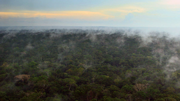 The Amazon rainforest if the largest in the world and stretches into nine different countries.