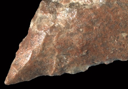 [POINT_TAKEN[5].jpg]