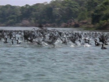 [ALeqM5j8zRyFzi_f9Tyj27aub3dJ7iPYUg[6].jpg]