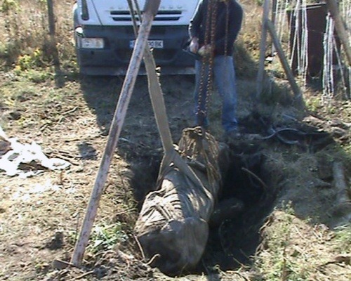 [photo_verybig_121649[5].jpg]