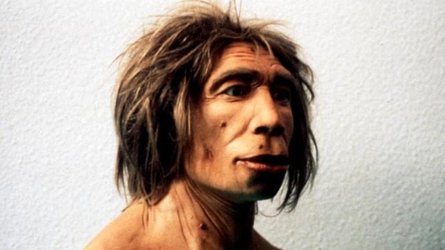 [796251-neanderthals[5].jpg]