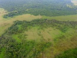 [news587-i1.0[5].jpg]