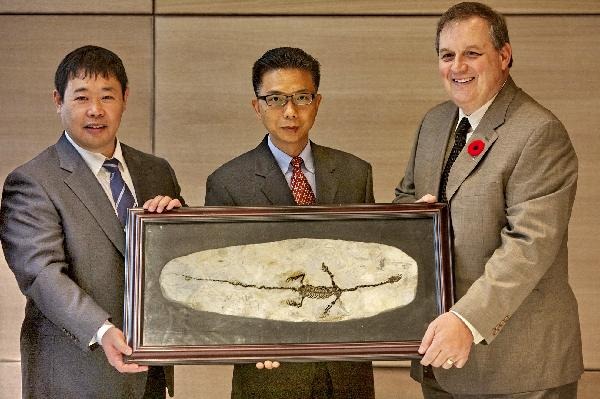 [13600117_21n[5].jpg]