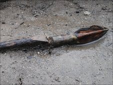 [_49864525_mustfarm1[5].jpg]