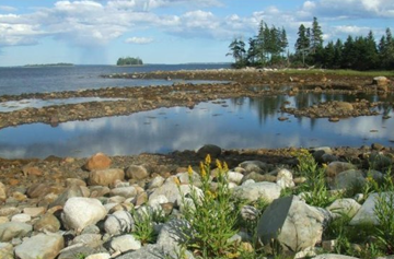As treasure hunters have attempted to recover the bounty from the Money Pit, cleverly engineered flood tunnels flood the shaft with sea water.