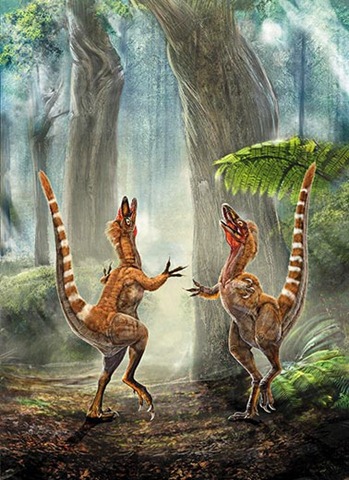 [China-Dinosaurs-illustration-of-sinosauropteryx-5[7].jpg]