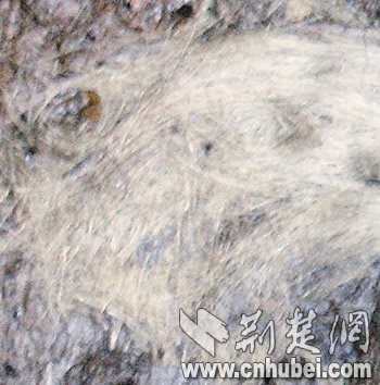 [P201011231121181150726540[6].jpg]