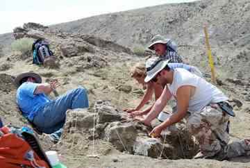 Christopher Smith (left), Joseph Camburn (right background), Linda Fitzgerald (right center), and Jason Schein (right foreground) prepare the Elk Ridge hadrosaur for excavation. Photo by Brian Switek.