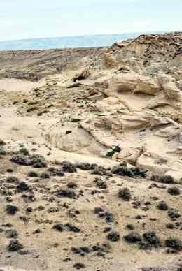 The dry, rocky landscape of Elk Ridge, Wyoming. Photo by Brian Switek.