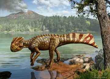 Paleontologist Michael Ryan calls the model of Koreaceratops created by Julius Csotonyi of Winnipeg, Manitoba, "one of the more gorgeous reconstructions of a dinosaur I've ever seen." 
