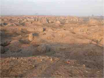 Mudbrick structures jut out from the ruins of ancient Thmuis. Photo courtesy Professor Robert Littman