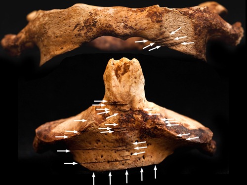 [dn19814-2_500[5].jpg]