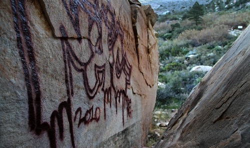 [5058948-1-4[5].jpg]