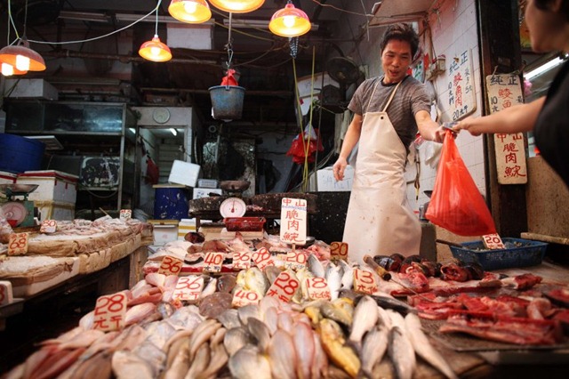 [image-157705-galleryV9-tghf[5].jpg]