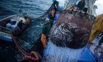Fisheries around the world are reporting collapse. Even as fishing boats go far and wide in search of fish, the total annual catch appears to be dropping.
