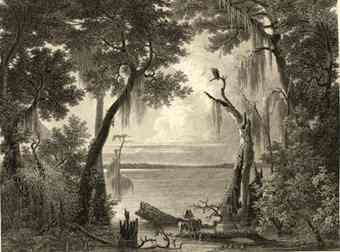 "The Lake of the Dismal Swamp," by John Gadsby Chapman, 1842. (Credit: Courtesy of the American Antiquarian Society)