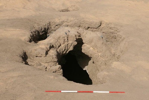 [AW_Cem_f2_m[5].jpg]