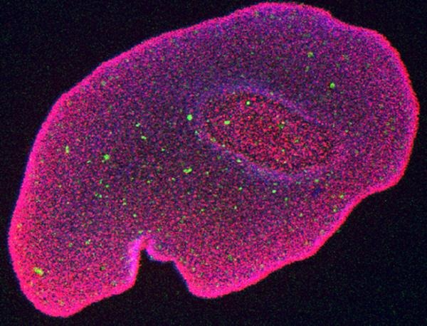 [101217145647large5.jpg]