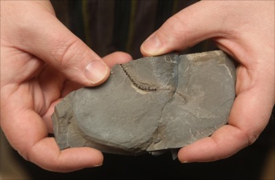 [123110_tk122910macrae2_15.jpg]