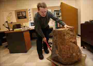 Saint Mary’s University geology professor Andrew MacRae displays a lycopod tree stump at the university. (TIM KROCHAK / Staff)