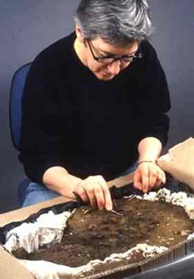 Marilyn Hockey, conservator at the British Museum, has spent 300 hours conserving the helmet and is likely to spend another two years to complete it.