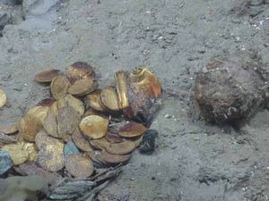 [6a00d8341bf67c53ef0148c6fa51a7970c30[2].jpg]