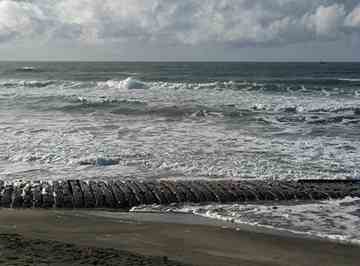 The wreck is just below a wave-cut terrace in the sandy slope.