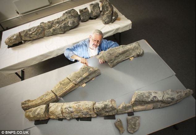 [article00C913381000005DC473_634x4365.jpg]