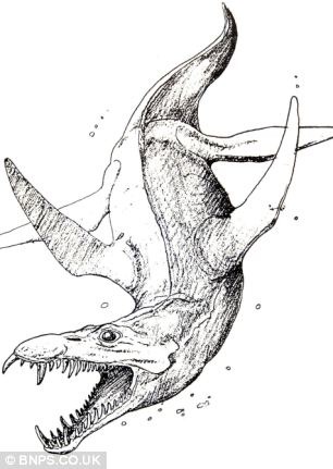 [article00C9134CA000005DC856_306x4315.jpg]