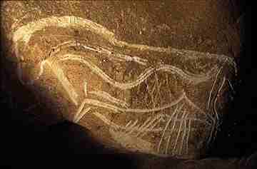 Chauvet Cave_Horse