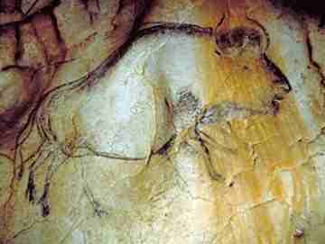 Chauvet Cave_Bison