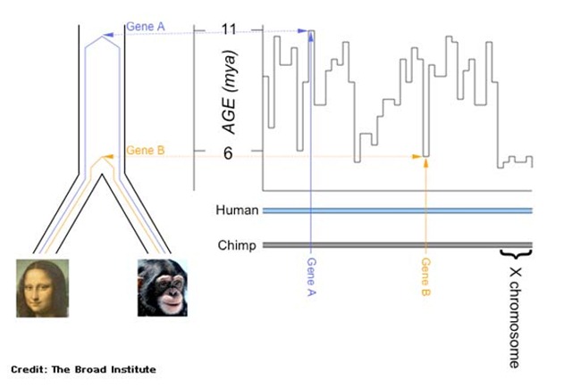 [060517_ape_timeline_02[5].jpg]