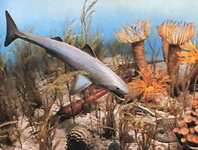 [devonian_epoch5.jpg]