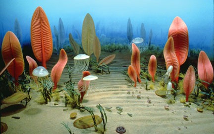 [Gallery_Image_60895.jpg]