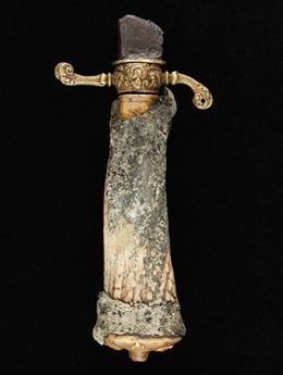 queen-annes-revenge-blackbeard-ship-sword-found_31158_600x450