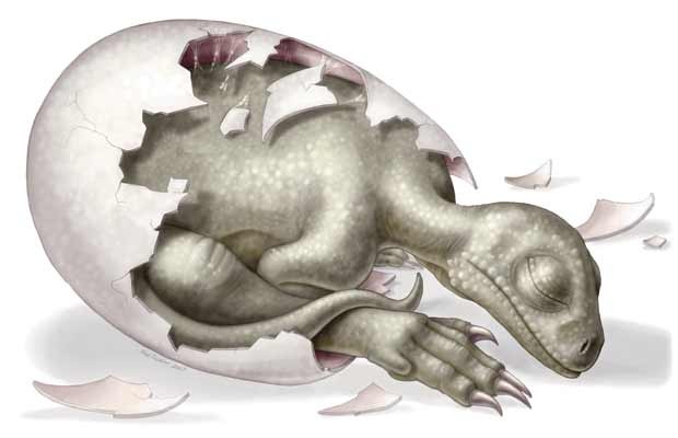 [3824631.bin[4].jpg]