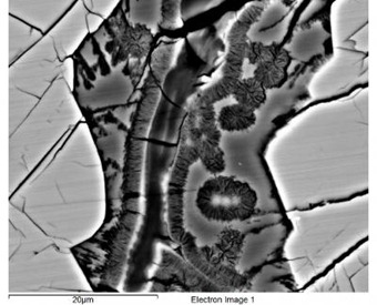 29279_web