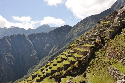[machu-picchu-terrace4.jpg]