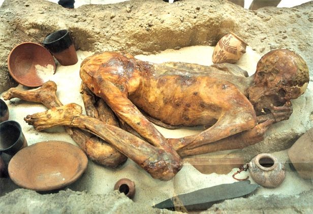 [pg-12-ginger-alamy_557103s4.jpg]