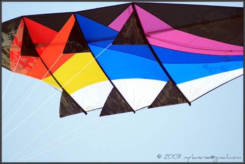 kites08