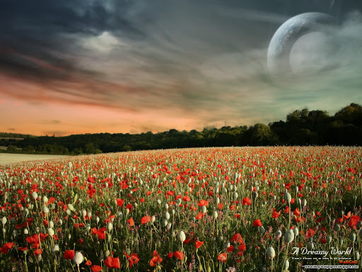 Celebrity Wallpapers Computers