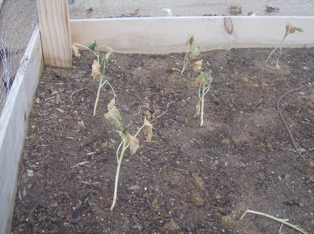 [March20103093.jpg]