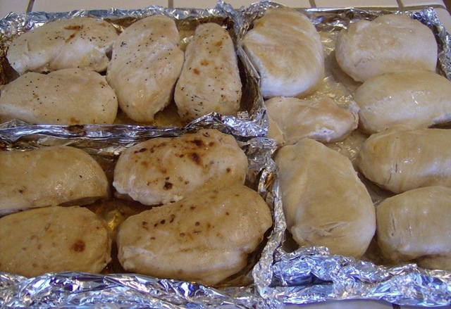 [August2010 329[5].jpg]