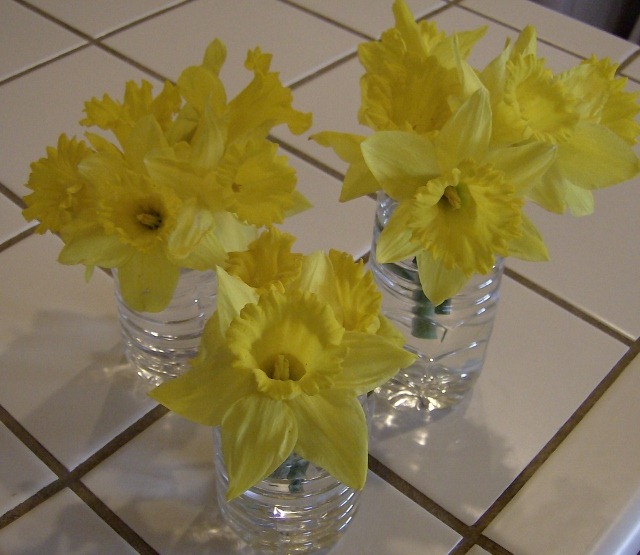 [Vase made from a Water Bottle (640x555)[4].jpg]