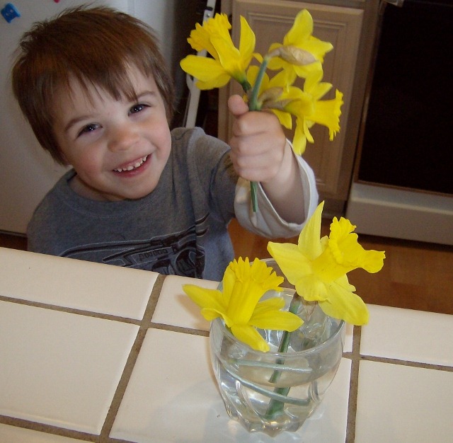 [Daffodils (640x626)[4].jpg]