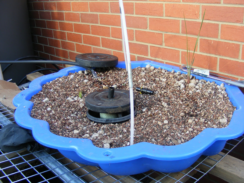 Can scoria be used in aquaponics 