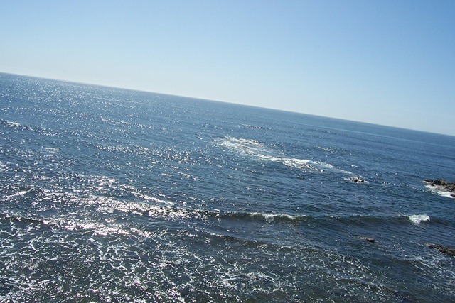 [San Diego Beaches 043[2].jpg]